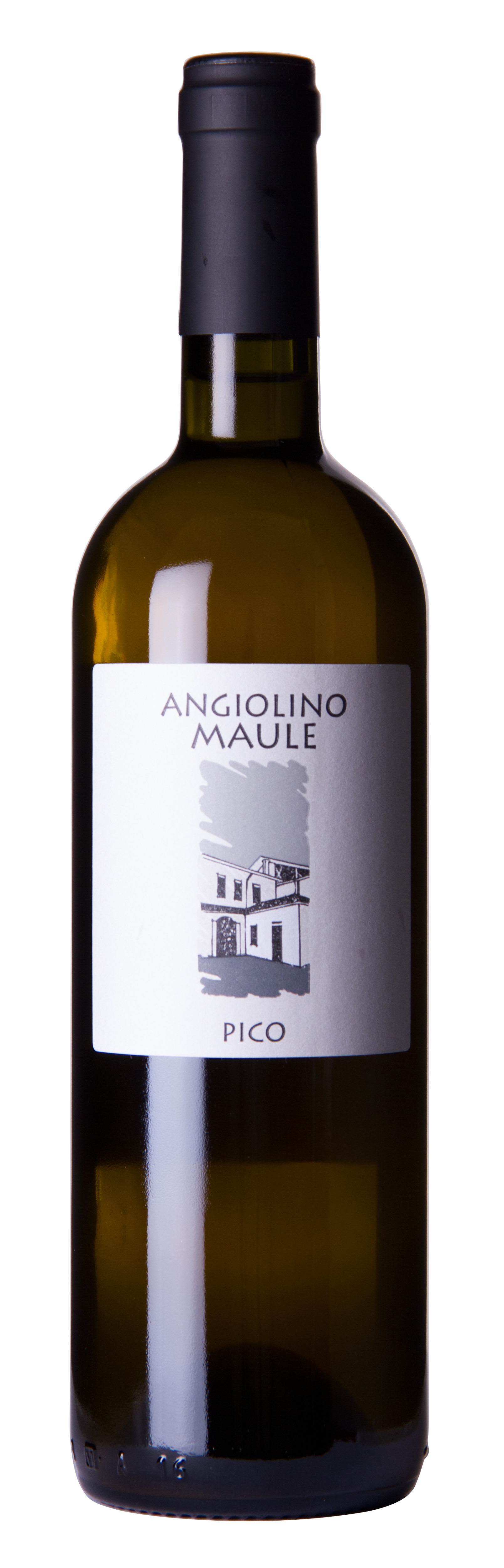 angiolino-maule-pico-veneto-075